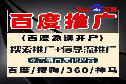 百度竞价代运营的长期效益与价值探讨